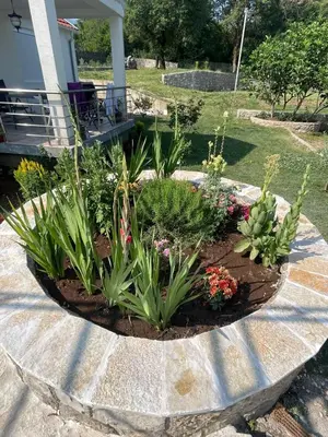 a garden in front of a house with plants at Eco-Apartment Ostros Skutarisee