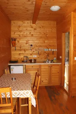 a kitchen with a table and a sink at Lotos - vikendica 1 in Bar