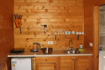 a kitchen with a sink and wooden walls at Lotos - vikendica 1 in Bar