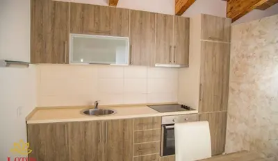 a small kitchen with wooden cabinets and a sink at Lotos - family stan in Bar