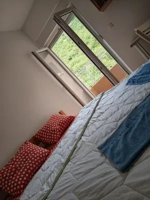 a bed in a room with a window at Apartments Lučijana in Budva