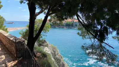 a view of a body of water with a tree at Penthouse Becici in Budva