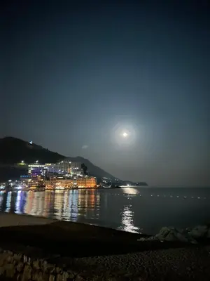 a view of a beach at night with a full moon at Montesin cozy studio in Budva