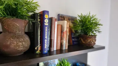 a shelf with books and a vase and potted plants at Sun Apartment in Petrovac na Moru