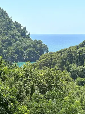 a view of the ocean from a hill with trees at Sun Apartment in Petrovac na Moru