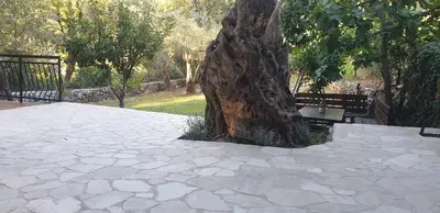 a tree sitting next to a bench in a park at Forest Nest Bartula in Bar