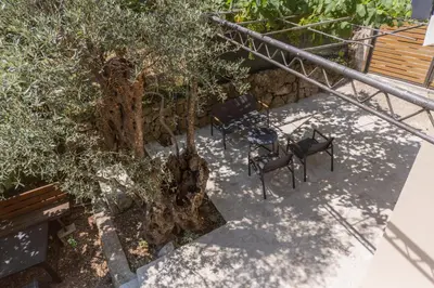 an overhead view of a table and chairs next to a tree at Forest Nest Bartula in Bar