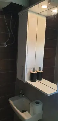 a bathroom with a sink and a mirror and a toilet at Forest Nest Bartula in Bar