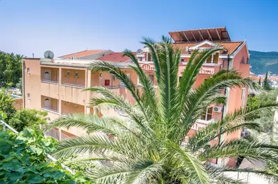a palm tree in front of a building at Lidia Apartments in Budva