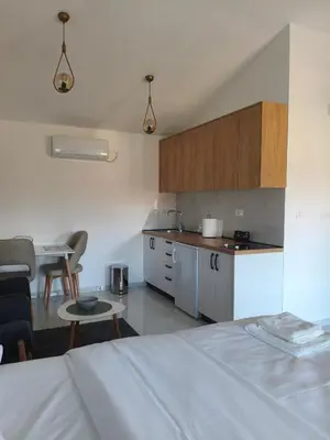 a kitchen and a living room with a bed and a table at The River Studio Beli in Podgorica