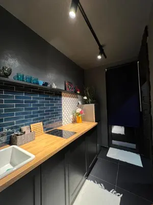 a kitchen with a counter with a sink and a refrigerator at Sunny Apart in Budva