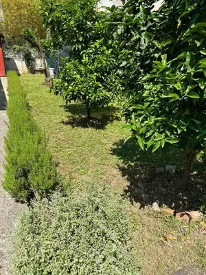 a row of trees and bushes next to a sidewalk at Holiday Home Vesna in Budva