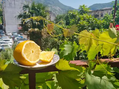 a plate with a slice of lemon on a table at Golden Bay Apartment in Kotor