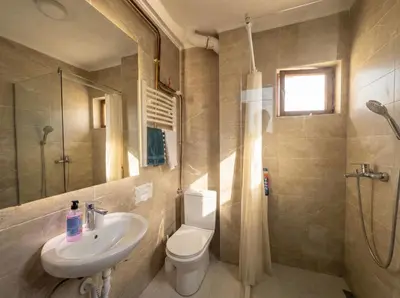 a bathroom with a sink and a toilet and a shower at Golden Bay Apartment in Kotor