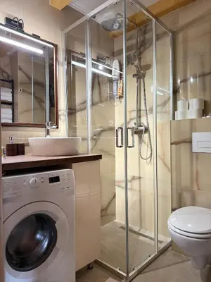 a bathroom with a washing machine and a toilet at Mountain harmony Lovćen in Cetinje