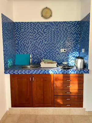 a kitchen with a sink and a blue tiled wall at Kalina in Bigovo
