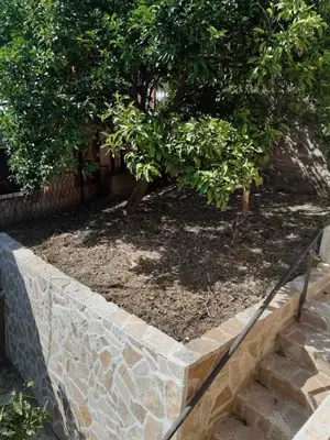 a stone retaining wall with two trees in a yard at Kruce accommodation in Ulcinj
