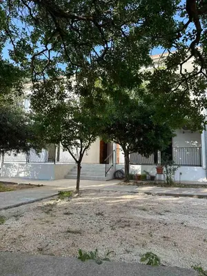 a house with two trees in front of a street at Apartmani Aki 6 in Sutomore