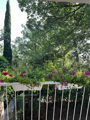 a white fence with a bunch of flowers on it at Iskra house - Perazica Do in Perazića Do