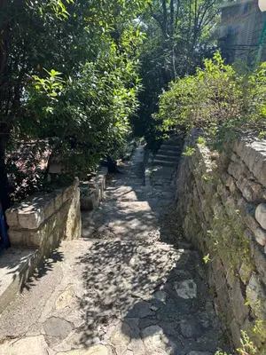 a stone path next to a stone wall at Iskra house - Perazica Do in Perazića Do