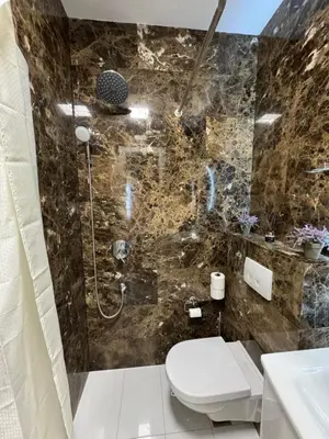 a bathroom with a toilet and a shower at Tre Family in Budva