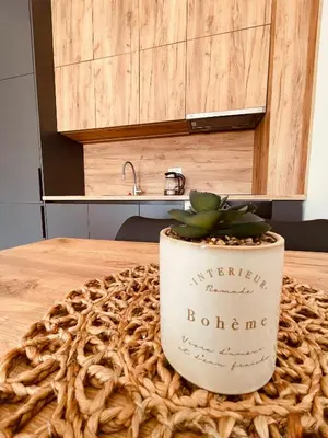 a plant in a pot sitting on a table at Apartments Buongiorno in Ulcinj