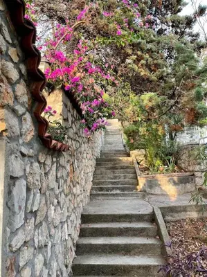 a stone wall with stairs and flowers on it at Apartments Dana Seaview in Bar