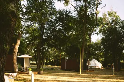 a group of tents in a park with trees at Neptun Beach & Forest Cabins in Ulcinj