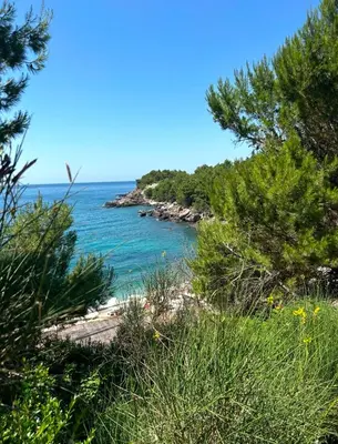 a view of a beach with trees and the ocean at Gio Bella in Sutomore