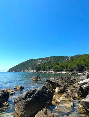 a beach with rocks and the water and trees at Gio Bella in Sutomore