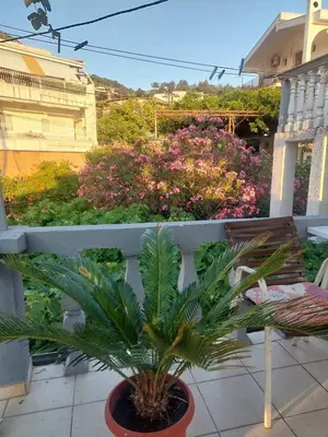 a plant in a pot on a balcony with flowers at Tatjana apartman blue in Sutomore