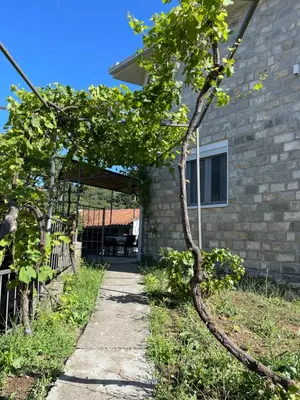a tree in front of a house at Apartmani Baila in Ðurmani