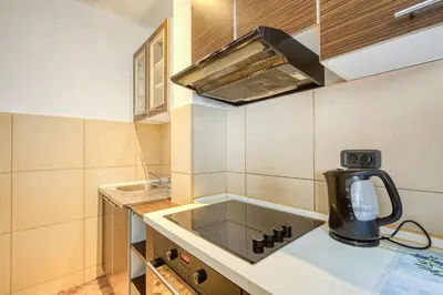 a kitchen with a sink and a stove at Cihan Apartment in Budva