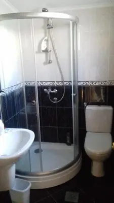 a bathroom with a shower and a toilet and a sink at Mlatkovina in Gluhi Do
