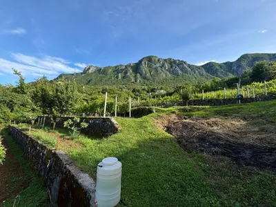 a white water bottle sitting on the grass with mountains in the background at Mlatkovina in Gluhi Do