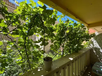 a plant in a pot on a balcony at Comfortable family apartments in Przno in Pržno