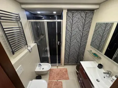 a bathroom with a shower and a toilet and a sink at Comfortable family apartments in Przno in Pržno