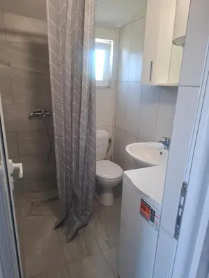 a bathroom with a toilet and a shower curtain at Apartman Andjela 1 in Budva