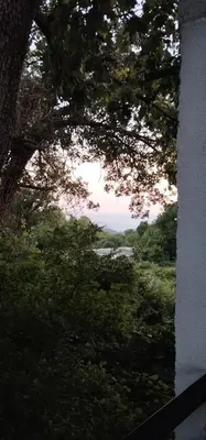 a view from a window of a field with trees at Jelena Lapčići Budva in Budva