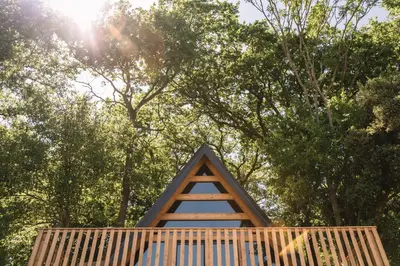 a wooden structure with trees in the background at Oak Cabin in Ulcinj