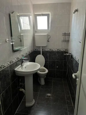 a bathroom with a toilet and a sink at Apartmani Zlatičanin in Sutomore