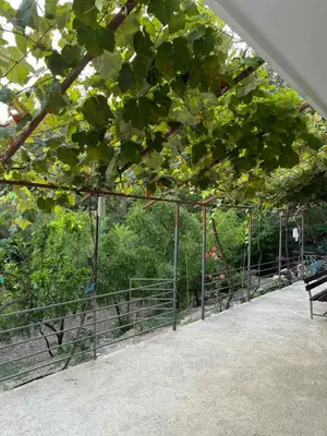 a fence with a bench in front of some trees at Apartman Pod lozom in Sutomore