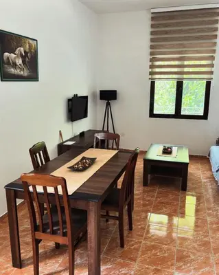a dining room with a wooden table and chairs at Apartman Pod lozom in Sutomore