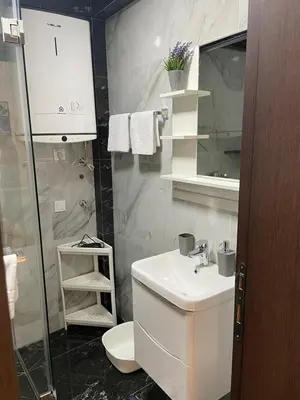 a bathroom with a sink and a toilet and a mirror at Greystone House Apartments in Kovači