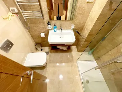 a bathroom with a sink and a toilet and a shower at CENTRAL apartment in Podgorica