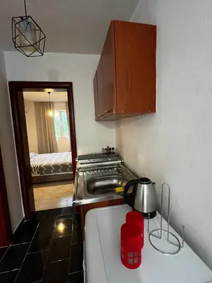 a kitchen with a stove and a sink in a room at Krsto in Budva