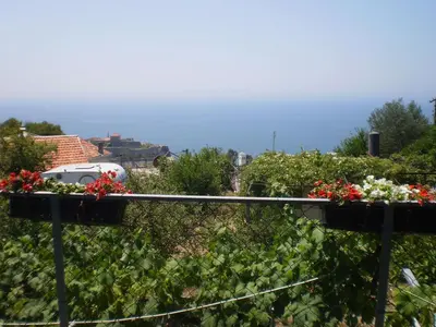a garden with red flowers on a fence at Apartment Vuk i Novak in Ulcinj