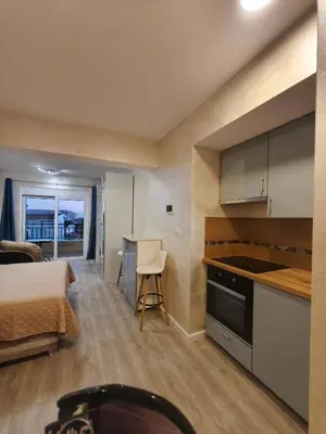 a bedroom with a bed and a kitchen with a counter at Sea & Sand Apartment in Bar