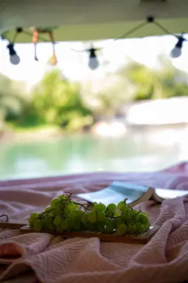 a bunch of green grapes sitting on a table at Camperlife Montenegro in Podgorica