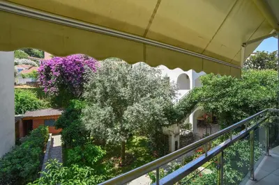 a building with a tree with purple flowers at Omega 4 Apartment in Budva